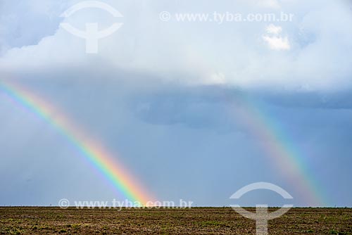  Rainbow - sugarcane plantation  - Mato Grosso do Sul state (MS) - Brazil