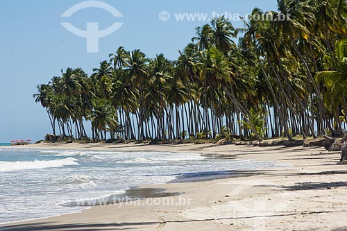  Carneiros Beach waterfront  - Tamandare city - Pernambuco state (PE) - Brazil