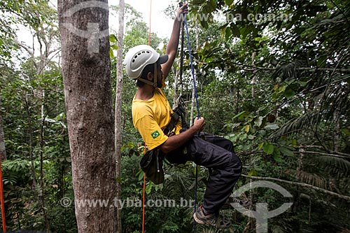  climbing practitioner in trees  - Manaus city - Amazonas state (AM) - Brazil