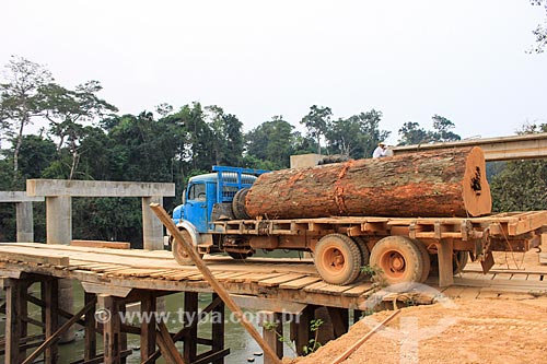  Illegal timber transport - trunk of Dinizia excelsa Ducke tree  - Machadinho dOeste city - Rondonia state (RO) - Brazil