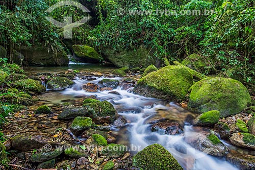  Bromelias Well (Bromeliads Well) - Serra dos Orgaos National Park  - Teresopolis city - Rio de Janeiro state (RJ) - Brazil