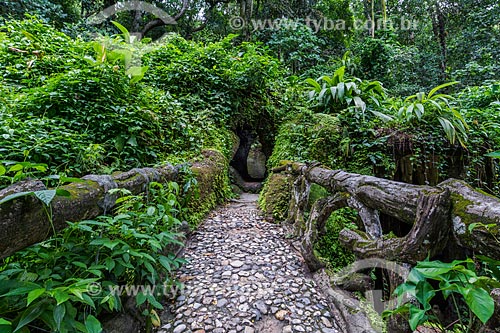  Trail to grotto - Henrique Lage Park - more known as Lage Park  - Rio de Janeiro city - Rio de Janeiro state (RJ) - Brazil