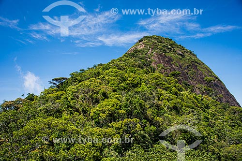  View of the Tijuca Peak  - Rio de Janeiro city - Rio de Janeiro state (RJ) - Brazil