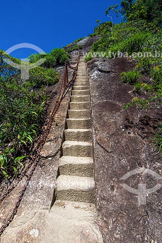  Stairs to the Tijuca Peak  - Rio de Janeiro city - Rio de Janeiro state (RJ) - Brazil