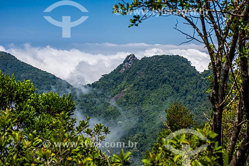  Landscape from trail to Tijuca Peak  - Rio de Janeiro city - Rio de Janeiro state (RJ) - Brazil