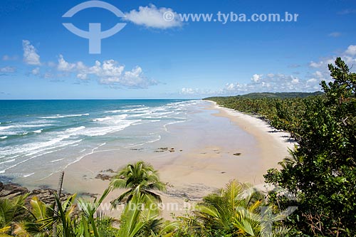  General view of the Itacarezinho Beach waterfront  - Itacare city - Bahia state (BA) - Brazil