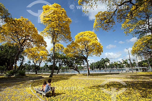  Children - Solon de Lucena Park - also known simply as Lagoa  - Joao Pessoa city - Paraiba state (PB) - Brazil