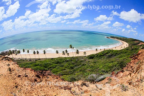  General view of the Coqueirinhos Beach waterfront  - Conde city - Paraiba state (PB) - Brazil