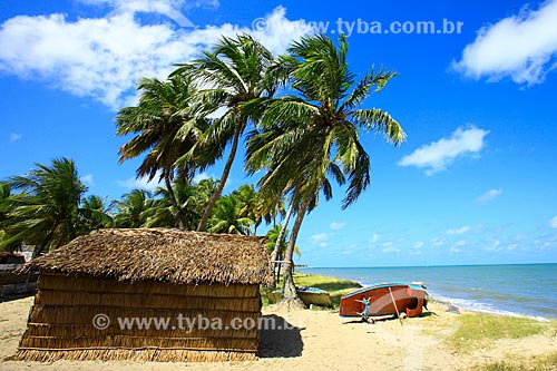  Thatch hut - Lucena Beach  - Lucena city - Paraiba state (PB) - Brazil