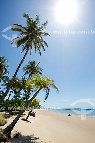  Taipus de fora beach waterfront  - Marau city - Bahia state (BA) - Brazil