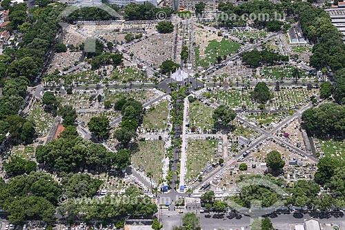  Aerial photo of the Senhor Bom Jesus da Redencao Cemetery - better known as Santo Amaro Cemetery  - Recife city - Pernambuco state (PE) - Brazil