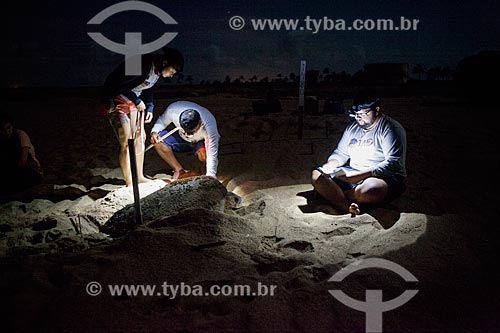  TAMAR Project volunteers examining sea turtle  - Linhares city - Espirito Santo state (ES) - Brazil