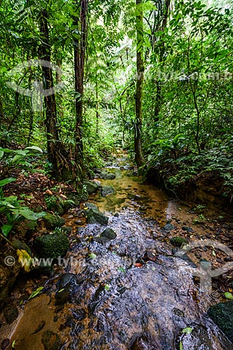  Trail to Camorim Dam - Camorim Center - Pedra Branca State Park sub-headquarters  - Rio de Janeiro city - Rio de Janeiro state (RJ) - Brazil