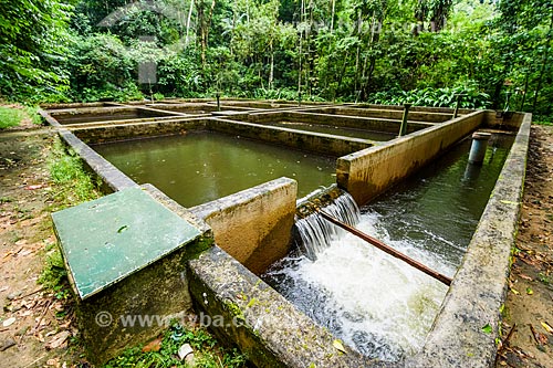  Settling tanks of State Company for Water and Sewage (CEDAE) - water and sewage treatment services concessionaire - Pedra Branca State Park  - Rio de Janeiro city - Rio de Janeiro state (RJ) - Brazil