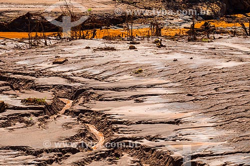  Gualaxo do Norte River - Paracatu de Baixo district after the dam rupture of the Samarco company mining rejects in Mariana city (MG)  - Mariana city - Minas Gerais state (MG) - Brazil