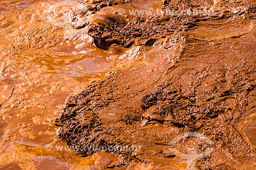 Detail of Gualaxo do Norte River - Paracatu de Baixo district after the dam rupture of the Samarco company mining rejects in Mariana city (MG)  - Mariana city - Minas Gerais state (MG) - Brazil