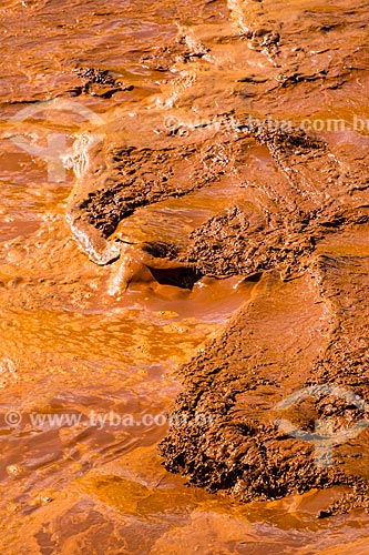  Detail of Gualaxo do Norte River - Paracatu de Baixo district after the dam rupture of the Samarco company mining rejects in Mariana city (MG)  - Mariana city - Minas Gerais state (MG) - Brazil
