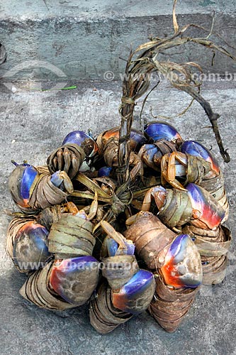  Crabs on sale Sao Jose Market (1875)  - Recife city - Pernambuco state (PE) - Brazil