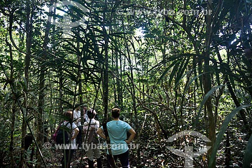  Sightseeing - Amazon Rainforest  - Novo Airao city - Amazonas state (AM) - Brazil