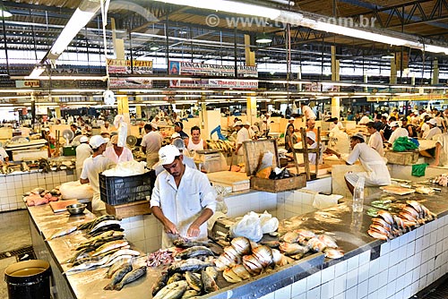  Fish sector - Manaus Moderna Fair  - Manaus city - Amazonas state (AM) - Brazil