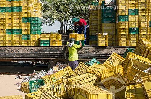  Unloading boxes of mangoes for the internal market in the courtyard of packaging company - Packing House - Nilo Coelho Project - São Francisco Valley  - Petrolina city - Pernambuco state (PE) - Brazil