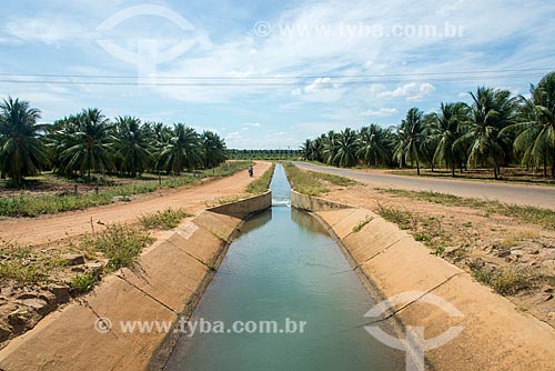  Secondary channel irrigation and aqueduct of Nilo Coelho Project - Sao Francisco Valley  - Petrolina city - Pernambuco state (PE) - Brazil