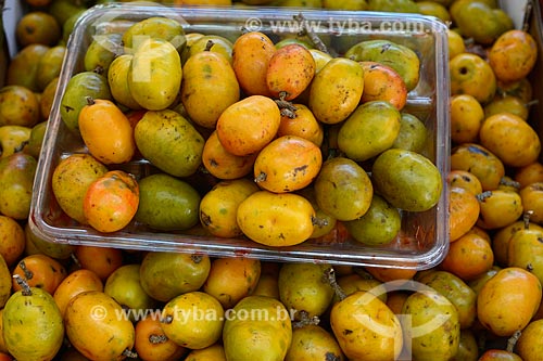  Detail of fruit of the jocote (Spondias purpurea) to sale - street fair  - Rio de Janeiro city - Rio de Janeiro state (RJ) - Brazil