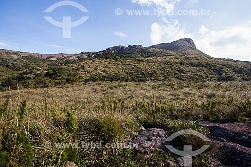  View of Pedra do Sino (Bell Stone) - Serra dos Orgaos National Park during trail between Teresopolis and Petropolis cities  - Teresopolis city - Rio de Janeiro state (RJ) - Brazil