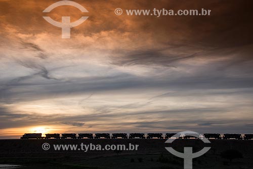  Train silhouette in Transnordestina Railroad  - Salgueiro city - Pernambuco state (PE) - Brazil