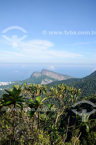  General view from trail of Queimado Mountain with the Morro Dois Irmaos (Two Brothers Mountain) in the background  - Rio de Janeiro city - Rio de Janeiro state (RJ) - Brazil