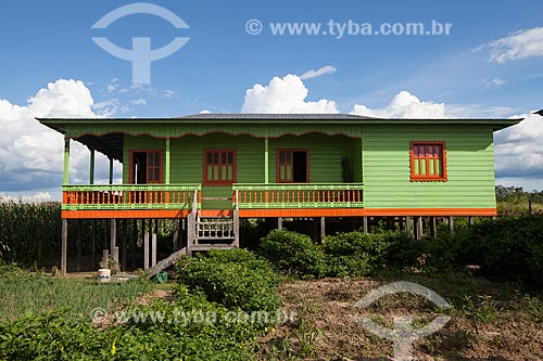  Riverine house in the Amazon River lowland  - Iranduba city - Amazonas state (AM) - Brazil