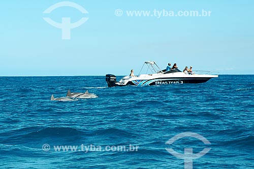  Common bottlenose dolphins (Tursiops truncatus) near to motorboat - Mauritius waterfront  - Mauritius