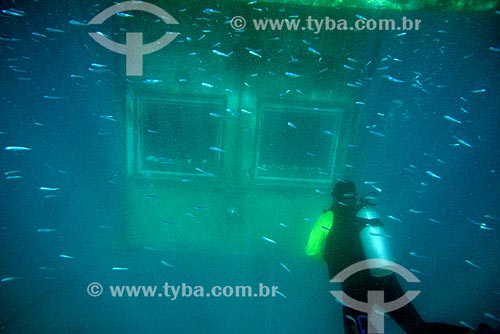  Diver with the underwater housing of the Manta Resort Hotel - Pemba Island - in the background  - Pemba Island - Tanzania