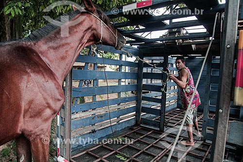  Embarkment of horses of the Paqueta Island - after prohibition of animal traction vehicles  - Rio de Janeiro city - Rio de Janeiro state (RJ) - Brazil