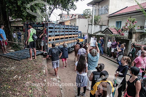 Transport of horses of the Paqueta Island - after prohibition of animal traction vehicles  - Rio de Janeiro city - Rio de Janeiro state (RJ) - Brazil