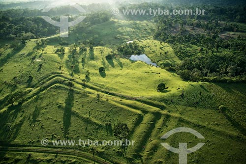  Aerial photo of the Tequinho Geoglyph  - Rio Branco city - Acre state (AC) - Brazil