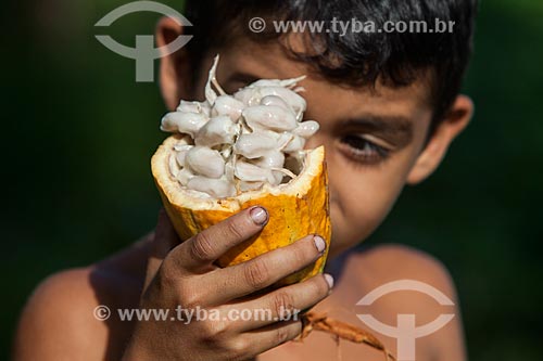  Boy holding native cacao during harvest - Madeira River region  - Novo Aripuana city - Amazonas state (AM) - Brazil