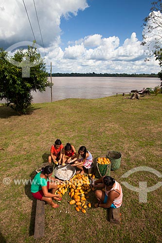  Women breaking native cacao - Madeira River region  - Novo Aripuana city - Amazonas state (AM) - Brazil