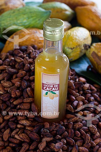  Liqueur of native cacao - Madeira River region  - Novo Aripuana city - Amazonas state (AM) - Brazil