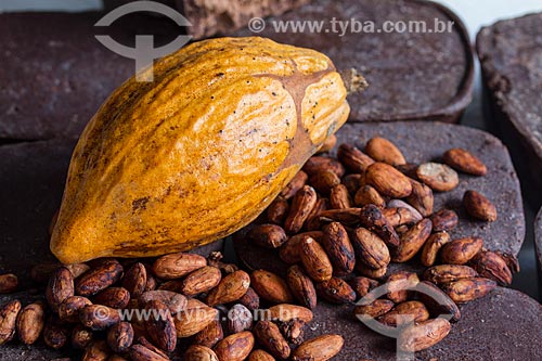  Detail of native cacao bar, seeds and fruit - Madeira River region  - Novo Aripuana city - Amazonas state (AM) - Brazil