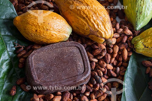  Detail of native cacao bar, seeds and fruit - Madeira River region  - Novo Aripuana city - Amazonas state (AM) - Brazil