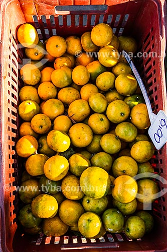  Detail of tangerine (Citrus reticulata) on sale - Organic Fair of Conceicao Lagoon  - Florianopolis city - Santa Catarina state (SC) - Brazil