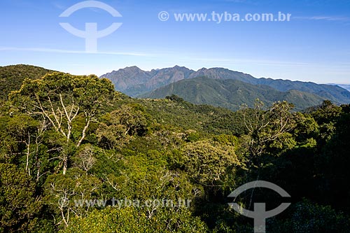  General view during the trail of Couto Hill - Itatiaia National Park  - Itatiaia city - Rio de Janeiro state (RJ) - Brazil