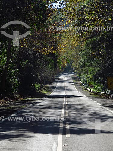  Snippet of Romantic Route between Morro Reuter and Picada Cafe cities  - Morro Reuter city - Rio Grande do Sul state (RS) - Brazil
