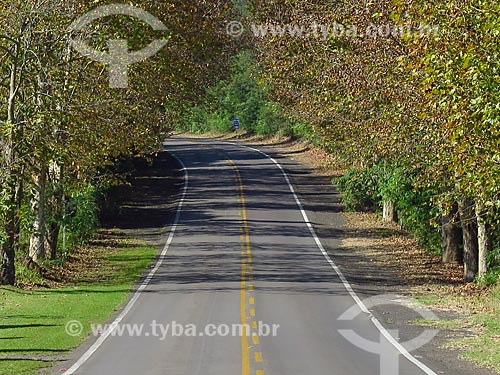  Snippet of Romantic Route between Morro Reuter and Picada Cafe cities  - Morro Reuter city - Rio Grande do Sul state (RS) - Brazil
