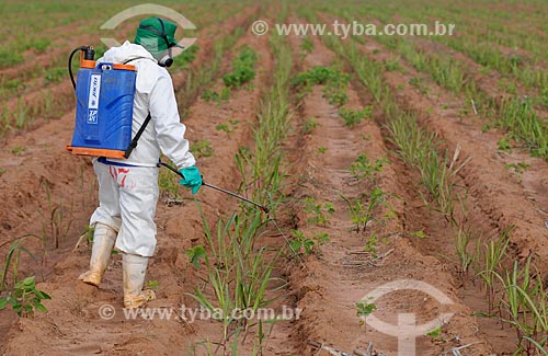  Pesticide application - sugarcane plantation  - Planalto city - Sao Paulo state (SP) - Brazil