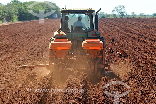  Tractor plowing to sugarcane plantation  - Planalto city - Sao Paulo state (SP) - Brazil