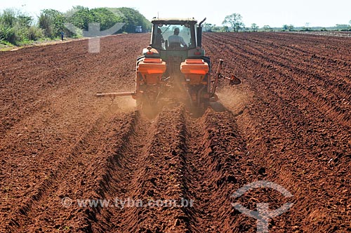  Tractor plowing to sugarcane plantation  - Planalto city - Sao Paulo state (SP) - Brazil