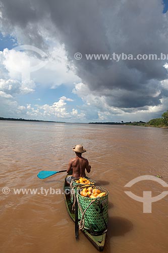  Rural worker carrying native cacao - Madeira River region during harvest  - Novo Aripuana city - Amazonas state (AM) - Brazil