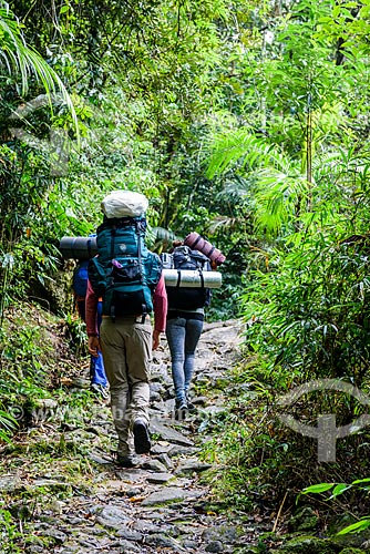  Trail to Pedra do Sino (Bell Stone) - Serra dos Orgaos National Park  - Teresopolis city - Rio de Janeiro state (RJ) - Brazil